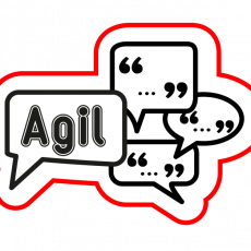 Agile Zitate / Agile Cites Agile Zitate