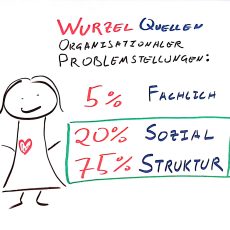 Quellen Organisationaler Problemstellungen